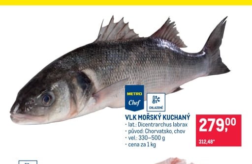 Vlk mořský kuchaný - Makro aktualniletaky.eu