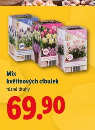 Mix květinových cibulek - Lidl aktualniletaky.eu