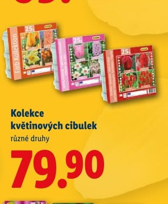 Kolekce květinových cibulek - Lidl aktualniletaky.eu
