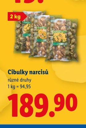 Cibulky narcisů - Lidl aktualniletaky.eu