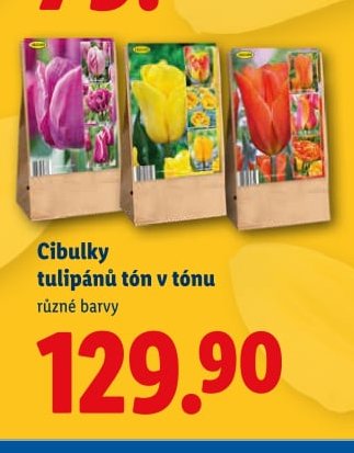 Cibulky tulipánů tón v tónu - Lidl aktualniletaky.eu
