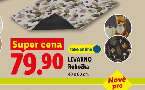 LIVARNO Rohožka - Lidl aktualniletaky.eu