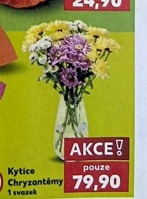 Kytice Chryzantémy - Kaufland aktualniletaky.eu
