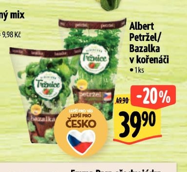 Albert Petržel/Bazalka v kořenáči