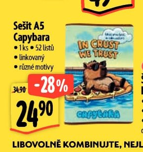Sešit A5 Capybara