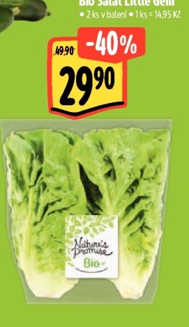 Nature's Promise Bio Salát Little Gem - Albert aktualniletaky.eu