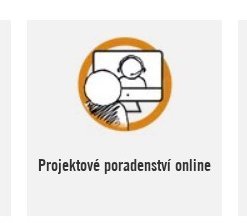 Projektové poradenství online