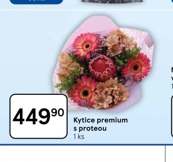 Kytice premium s proteou - Tesco aktualniletaky.eu