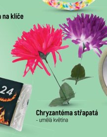 Chryzantéma střapatá
