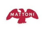 Mattoni - Globus aktualniletaky.eu