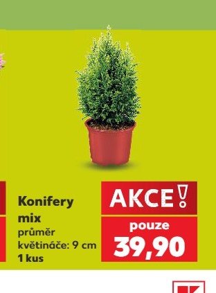 Konifery mix - Kaufland aktualniletaky.eu