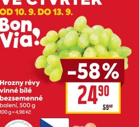 Hrozny révy vinné bílé bezsemenné