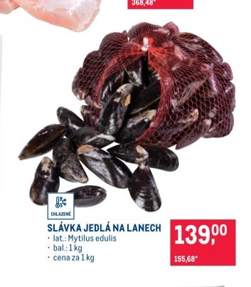 Slávka jedlá na lanech