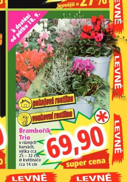Brambořík Trio