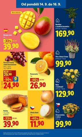 aktuální leták Lidl 14.9.2026-16.9.2026