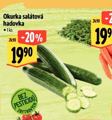 Okurka salátová hadovka