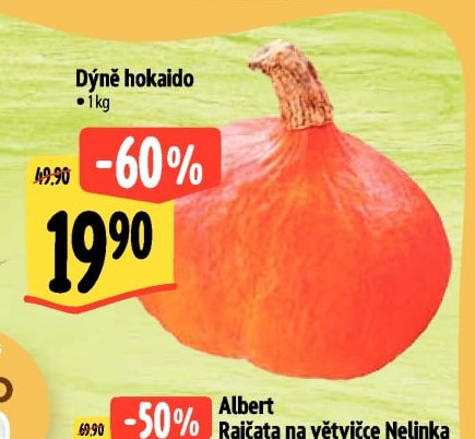 Dýně hokaido