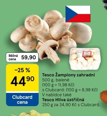 Tesco Žampiony zahradní