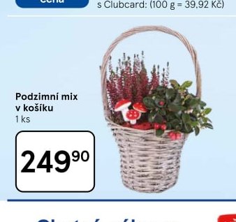 Podzimní mix v košíku
