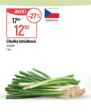 Cibulka lahůdková - Globus aktualniletaky.eu
