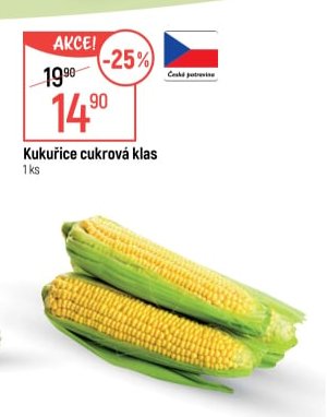 Kukuřice cukrová klas - Globus aktualniletaky.eu