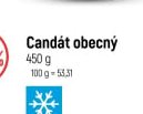 Candát obecný - Globus aktualniletaky.eu