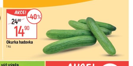 Okurka hadovka - Globus aktualniletaky.eu