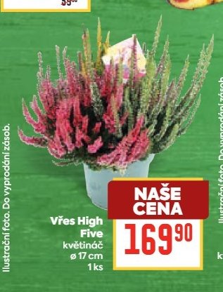 Vřes High Five - BILLA aktualniletaky.eu