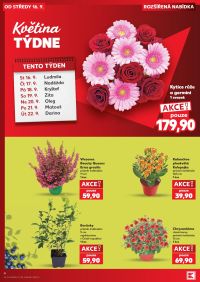 aktuální leták Kaufland 16.9.2026-22.9.2026