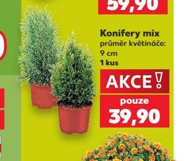 Konifery mix - Kaufland aktualniletaky.eu