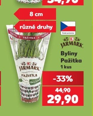 Byliny Pažitka - Kaufland aktualniletaky.eu