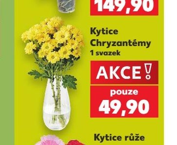 Kytice Chryzantémy - Kaufland aktualniletaky.eu