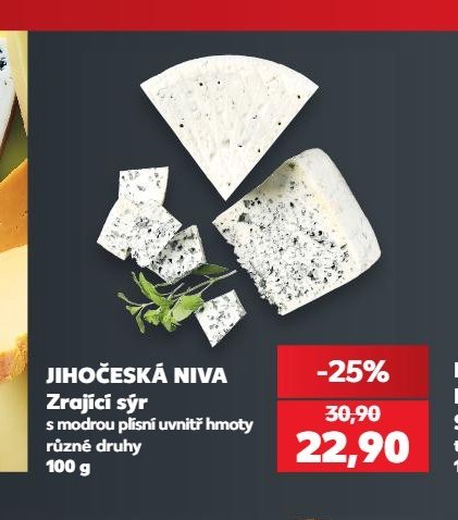 JIHOČESKÁ NIVA