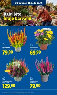 aktuální leták Lidl 21.9.2026-23.9.2026