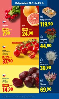 aktuální leták Lidl 21.9.2026-23.9.2026