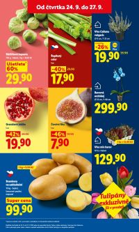 aktuální leták Lidl 24.9.2026-27.9.2026