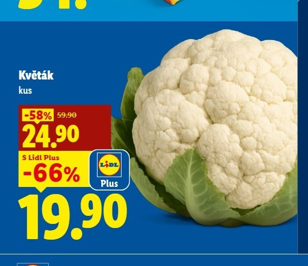 Květák kus - Lidl aktualniletaky.eu