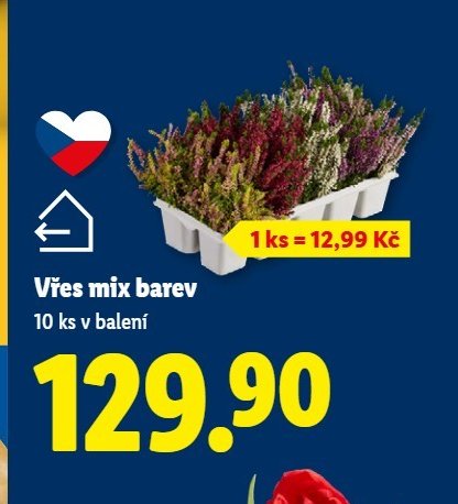 Vřes mix barev - Lidl aktualniletaky.eu