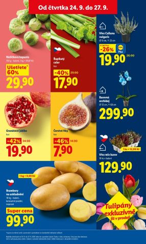 aktuální leták Lidl 24.9.2026-27.9.2026
