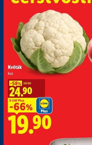 Květák