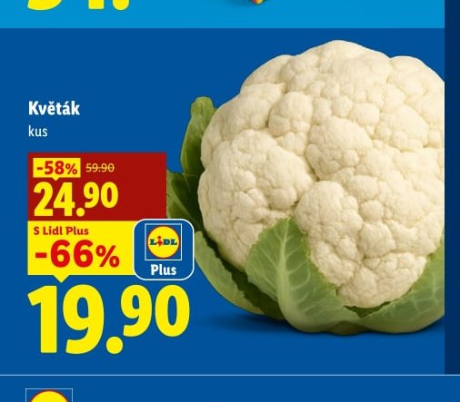 Květák