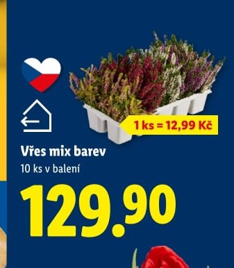 Vřes mix barev