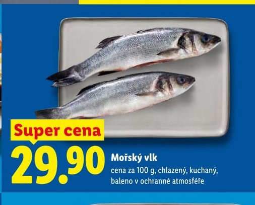Mořský vlk