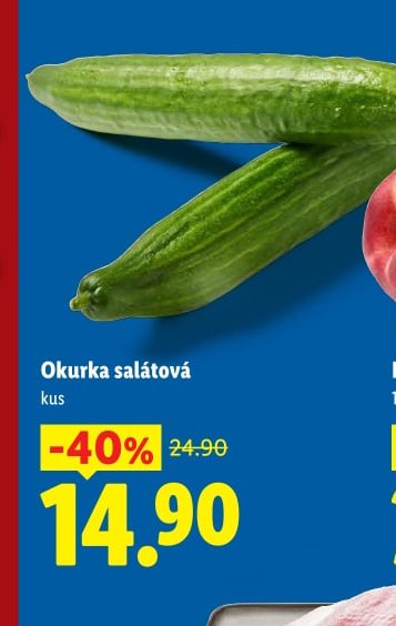 Okurka salátová 1 kus