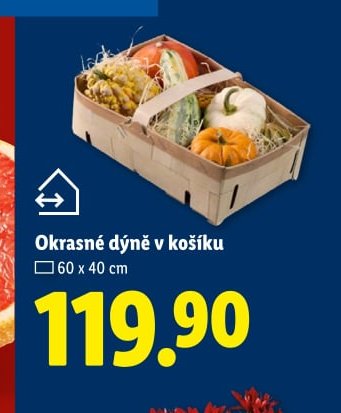 Okrasné dýně v košíku