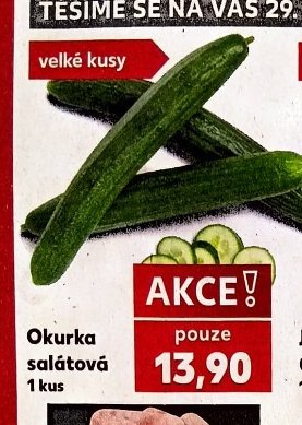 Okurka salátová