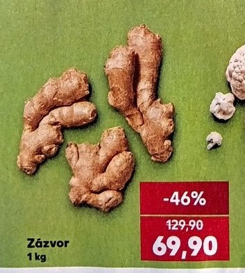 Zázvor