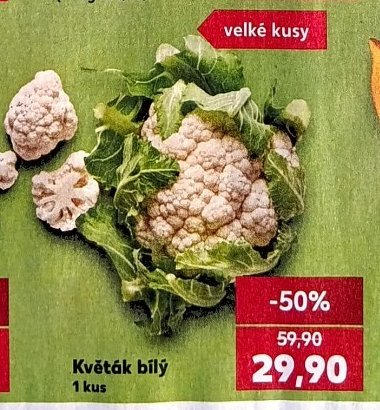 Květák bílý