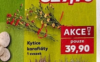 Kytice karafiáty