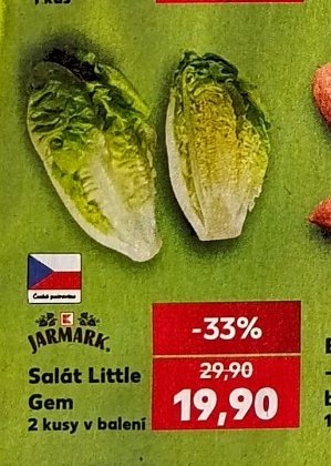 Salát Little Gem